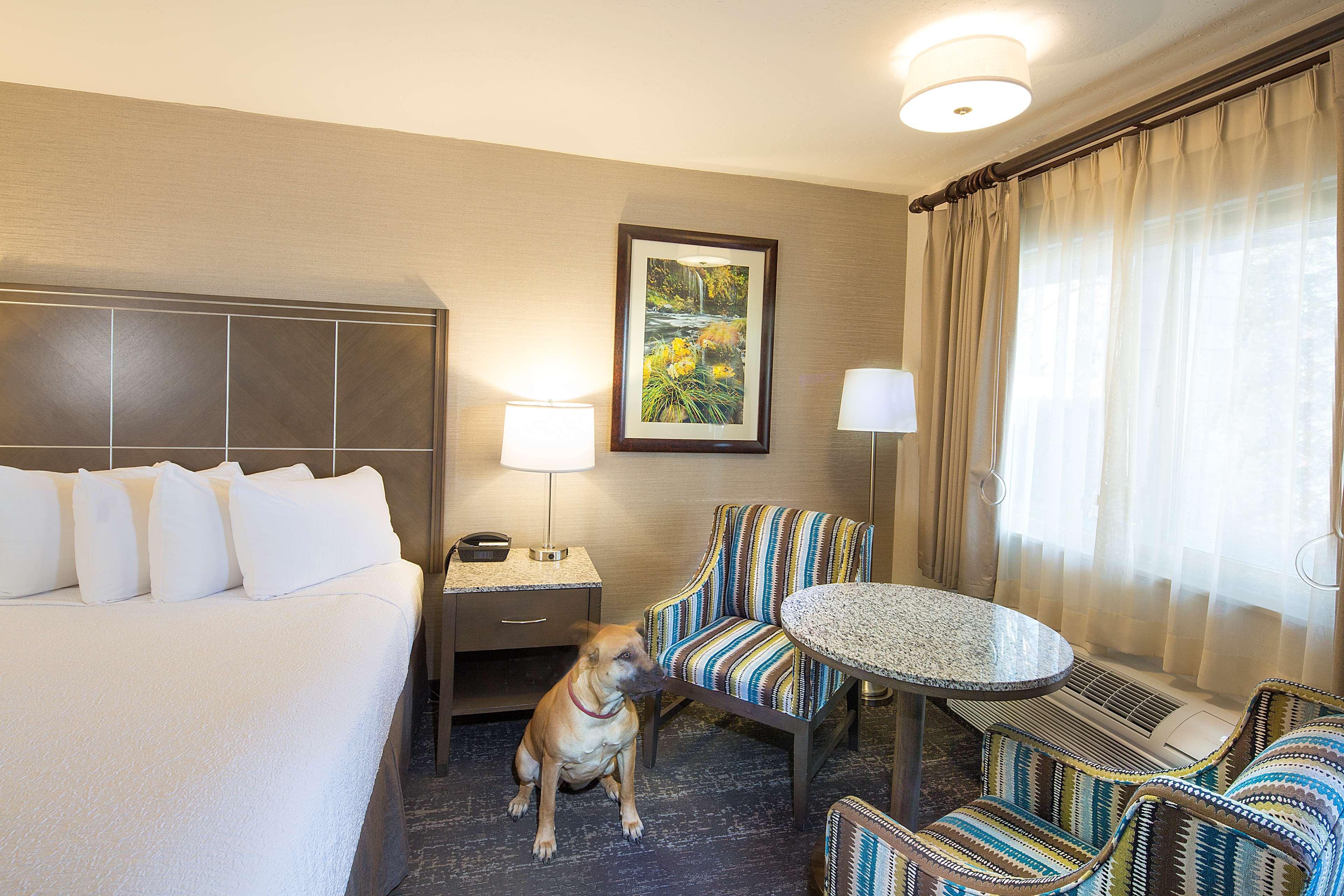 Best Western Plus Hilltop Inn Реддинг Экстерьер фото